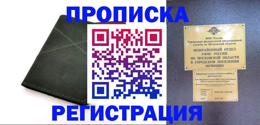 прописка в квартире в Камышлове